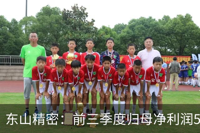 东山精密：前三季度归母净利润52.89亿元，同比增长332.34%