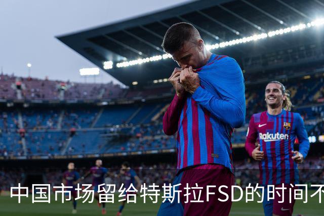 中国市场留给特斯拉FSD的时间不多了？