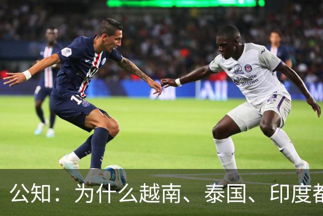 公知：为什么越南、泰国、印度都在“崛起”，就中国不行？