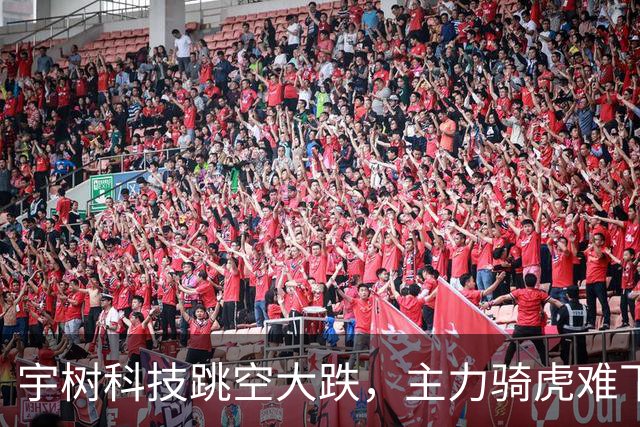宇树科技跳空大跌，主力骑虎难下，硬着头皮拉，但依然无济于事！