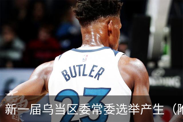 新一届乌当区委常委选举产生（附简历）→