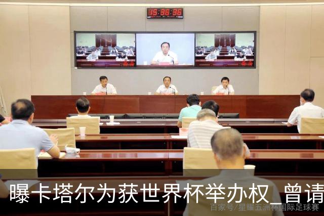 曝卡塔尔为获世界杯举办权 曾请前CIA特工监听FIFA
